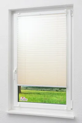 Produktbild von Lysel Outlet - Plissee Krepp zum Klemmen Beige - Plissee in der Größe (Bx H) 100 * 130cm