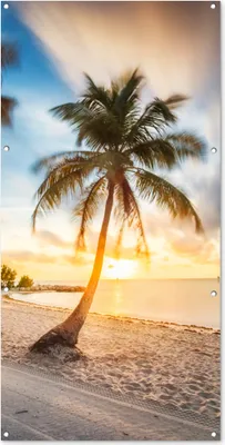 Produktbild von MuchoWow® 80x160 cm Outdoor-Poster Gartendeko Sichtschutz Garten Poster für den Garten  Sonnenuntergang - Strand - Palme