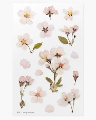 Image de Autocollants décoratifs fleurs de cerisier