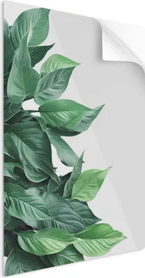 Produktbild von SpaceRebels Bilder Wandsticker 40x60 - Wanddeko Pflanzen - Selbstklebende Wandtattoo Wandsticker - Modernes Bild auf PVC-Folie - Wandbild Wohnzimmer - Klebbar oder rahmbar
