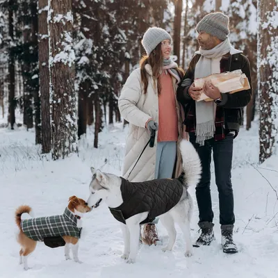 Produktbild von Winterhundemantel für kleine Hunde – Wasserdichte und warme Fleecejacke mit Geschirr – Umwandelbares Design, Größe XS