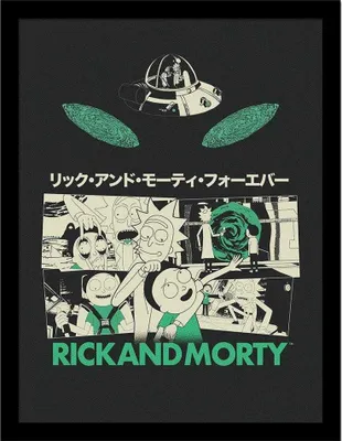 Produktbild von Rick And Morty - Eingerahmter Druck PM10877 (40 cm x 30 cm) (Grün/Weiß/Schwarz)