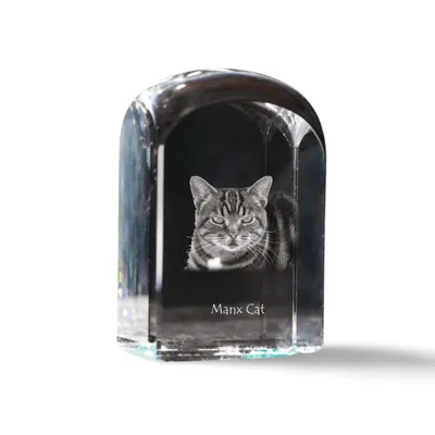 Immagine prodotto di Manx cristallo sigillo con un gatto Art-Dog
