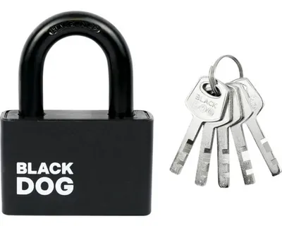 Obrázek produktu pro Ocelový visací zámek RV.BLACKDOG.60 v elektroforézní povrchové úpravě
