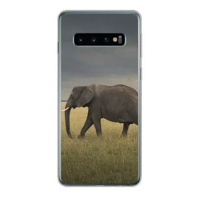 Produktbild von MuchoWow® Handyhülle Schutzhülle Hülle für Samsung Galaxy S10 Elefant - Savanne - Tiere - Natur Silikon Softcase Handy Hülle - Handytasche
