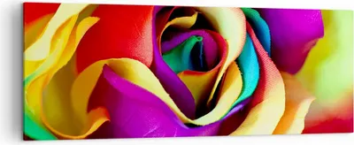 Produktbild von Bild auf Leinwand - Leinwandbild - Blume Farbe Rose - 140x50cm - Wand Bild - Wanddeko - Wandbilder - Leinwanddruck - Bilder - Kunstdruck - Wanddekoration - Leinwand bilder - Wandkunst - AB140x50-3623