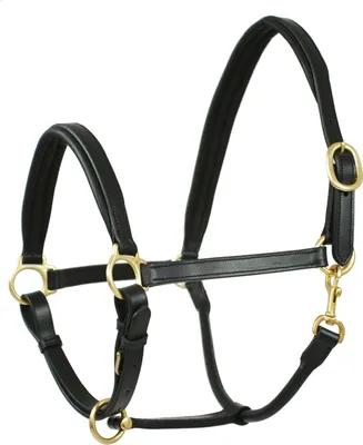 Produktbild von Waldhausen Lederhalfter Finesse II