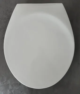 Produktbild von abusanitair WC-Deckel Extra Weiß Thermoplast mit Edelstahlscharnieren