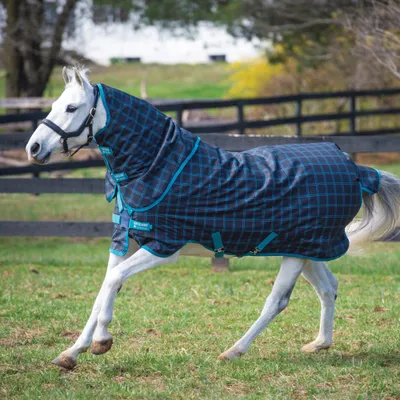 Produktbild von Horseware Amigo Pony Plus Turnout 50g Disc - Black Check