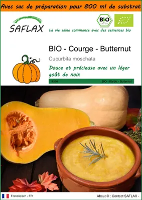 Image de SAFLAX Garden in the bag -- Courge - Butternut - 6 graines - Cucurbita