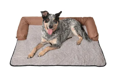 Produktbild von RAIKOU Hundebett Plüsch Waschbares Hundedecke Rutschfest Hunde Bett für Sofaschutz Tier Braun Melange 90X90cm