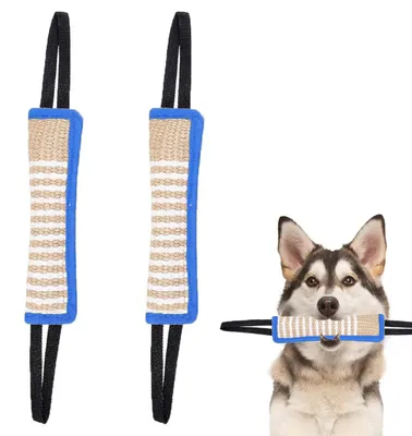 Productafbeelding van Robuust Touw Speeltouw voor Honden met Worstontwerp - Blauw