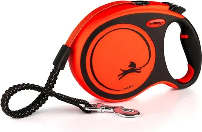 Image de câble ruban Xtreme L 8m - orange Flexi XT30T8-251-OR Laisse pour chien