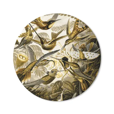 Produktbild von MuchoWow® Mauspad Mousepad Trochilidae - Ernst Haeckel - Gold 20x20 cm - Mousepads - Maus Mat - Pad - Mausunterlage - Schreibtischmatte