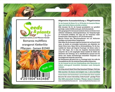 Produktbild von 10x Bomarea multiflora orangerot Kletterlilie Pflanzen - Samen B1940