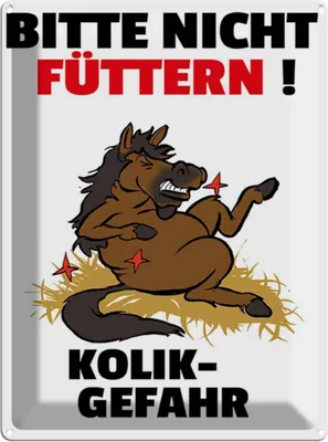 Produktbild von vianmo Blechschild 40x30 cm bitte nicht füttern Pferd Kolik Spruch Zitat