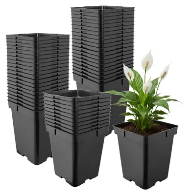 blumenkasten skandinavisch Wolff Finnhaus Gartenhaus Blumenkasten 80 cm für Kota 700033 –  wolff-finnhaus.center
