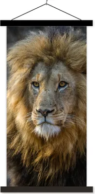 Produktbild von MuchoWow® Textilposter Löwe - Porträt - Wild 60x120 cm mit schwarzem Rahmen - Magnete