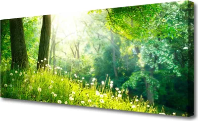 Produktbild von Tulup Leinwand-Bilder 125x50 Wandbild Canvas Kunstdruck Wiese Natur