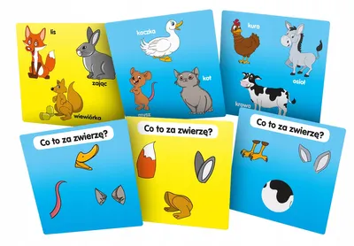 Zdjęcie produktu dla Rebel Gra edukacyjna BrainBox Poznaję Zwierzęta