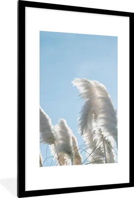 Produktbild von MuchoWow® Gerahmtes Poster Himmel - Gras - Pampasgras 60x90 cm - Poster mit Schwarzem Bilderrahmen Wandposter Rahmen Foto Bilder - Dekoration - Wandposter Wohnzimmer - Hochwertig