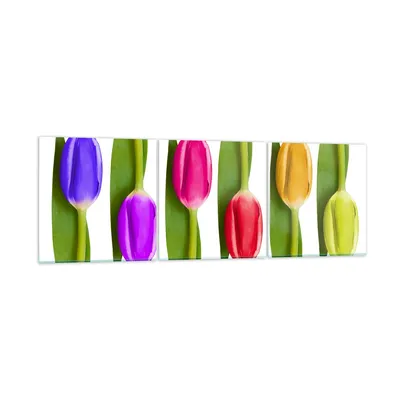 Produktbild von Bilder auf glas - Tulpe Blume Garten Komposition - 90x30cm - Glasbilder - Wandbilder - Kunstdruck - zum Aufhängen bereit - Wanddekoration aus Glas - Glas Bilder - Wandbild auf Glas - GCA90x30-2360