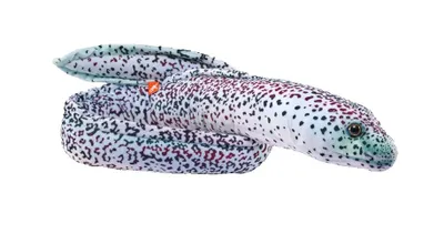 Produktbild von Wild Republic 27855 Muräne 135 cm Kuscheltier Plüschtier
