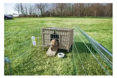 Zdjęcie produktu dla natura dom dla małych zwierząt