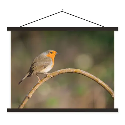 Produktbild von MuchoWow® Textilposter Rotkehlchen - Vogel - Natur 40x30 cm mit schwarzem Rahmen - Dekorationen