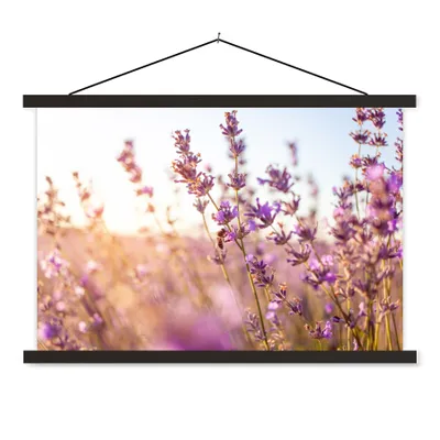 Produktbild von MuchoWow® Textilposter Lavendel - Nahaufnahme - Sonne - Blumen - Lila 120x80 cm mit schwarzem Rahmen - Wanddeko