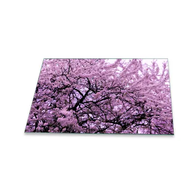 Produktbild von Herdabdeckplatte Glaskeramik 1 Teilig 80x52 Orchidee Weiß Abdeckung Glas Spritzschutz