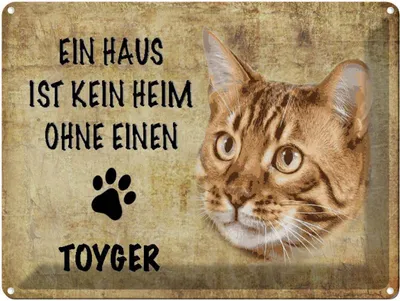 Produktbild von vianmo Blechschild 30x40 cm Toyger Katze ohne kein Heim