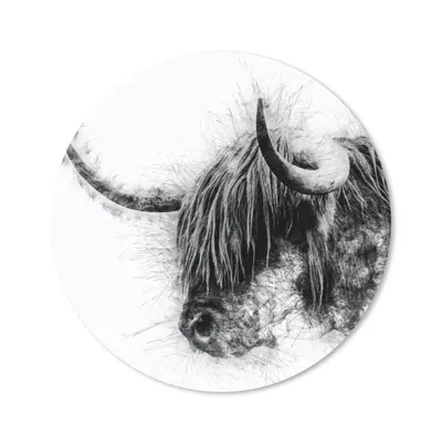 Produktbild von MuchoWow® Mauspad Mousepad Porträt Schottischer Highlander - Schwarz und Weiß 40x40 cm - Mousepads - Maus Mat - Pad - Mausunterlage - Schreibtisch Accessoires