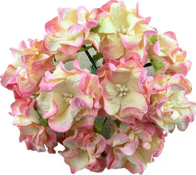 Immagine prodotto di GARDENIEN 35 mm 25 pezzi Fiori di carta di gelso per scrapbooking, due colori