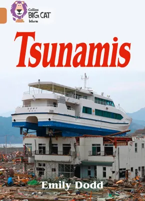 Produktbild von Tsunamis