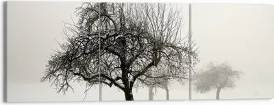 Produktbild von Bild auf Leinwand - Leinwandbild - 3 Teile - Bäume Schnee Nebel - 150x50cm - Wand Bild - Wanddeko - Wandbilder - Leinwanddruck - Bilder - Wanddekoration - Leinwand bilder - Wandbild - CA150x50-4136
