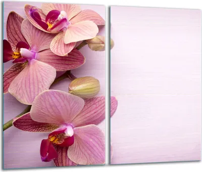 Produktbild von Herdabdeckplatten 2 teilig 30x52 Glaskeramikfeld Abdeckung Glas Blume