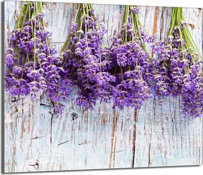 Obrázek produktu pro Skleněná deska 60x52 s keramickým krytem varné desky Splashback Deco Deska na krájení, levandulově fialová