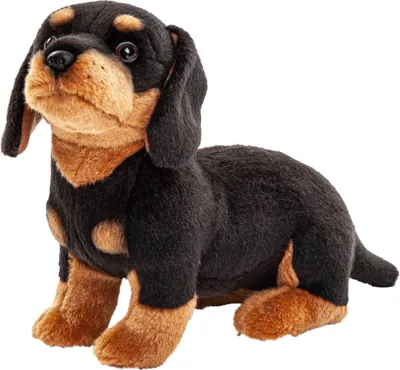 Immagine prodotto di Uni-Toys - Bassotto senza guinzaglio - 27 cm (lunghezza) - Cane di peluche - Peluche, coccolone