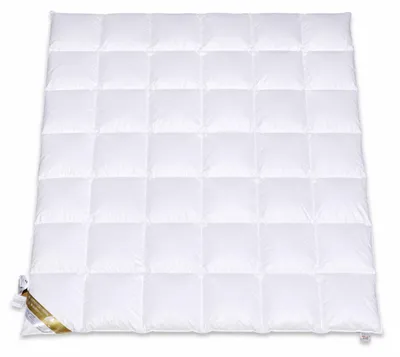 Produktbild von Hofmann Franken 8cm Hochsteg Winterbett Daunenbett Daunendecke 6x7 240x220 2100g