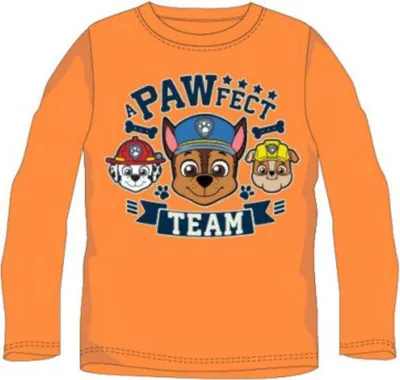 Produktbild von Paw Patrol Langarm-T-Shirt für Jungen - "PAWFECT TEAM" Design, 100% Baumwolle, orange,122
