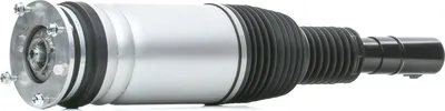 Produktbild von RIDEX 4118A0112 Luftfederbein Stoßdämpfer Vorne Rechts für LAND ROVER Range Rover Sport (L494)