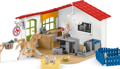 Obrázok produktu pre Veterinárna prax s domácimi zvieratami