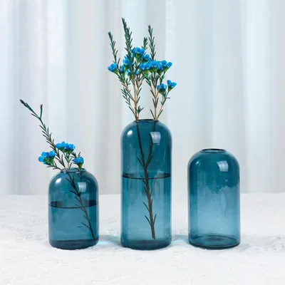 Image de Vase à fleurs - Verre - Minimaliste - Bleu