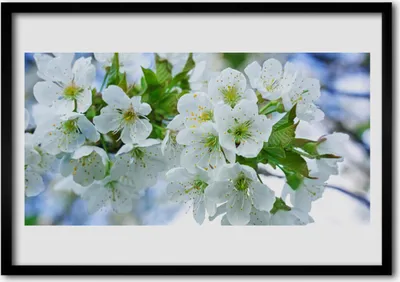 Produktbild von Bild 70x50 MDF-Rahmen Wandkunst Blumen-Baum-Blätter Natur