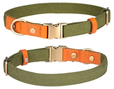 Produktbild von Nylon Hundehalsband mit Metall-Sicherheitsverschluss - S, Grün