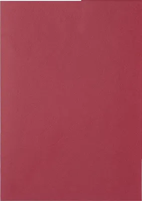 Image de couverture de reliure pavo structure cuir DIN A4 rouge 100 couvertures de reliure