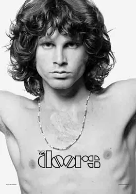 Produktbild von The Doors - Jim Morrison Posterflaggen Fahne