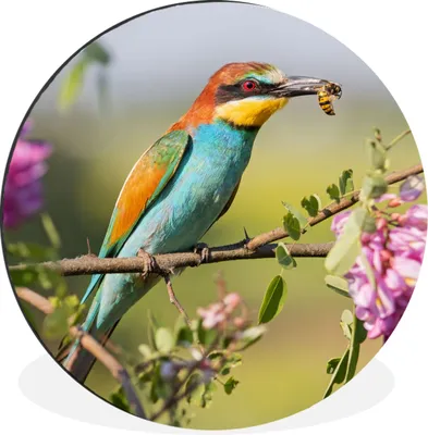Produktbild von MuchoWow® Aluminium Wandkreis Vogel - Bienenfresser - Blumen Ø 90 cm Wanddeko Modern Wohnzimmer - Mauerkreis - Wandbilder - Runde Bild - Bild aus Aluminium - Schlafzimmer - Wohnzimmerdekoration - Wand Dekoration