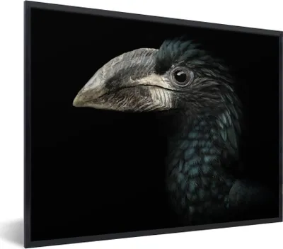 Produktbild von MuchoWow® Gerahmtes Poster Vogel - Porträt - Hornvogel - Schwarz - Tiere 40x30 cm - Poster mit Schwarzem Bilderrahmen Wandposter Rahmen Foto Bilder - Kunstposter - Wanddekorationen